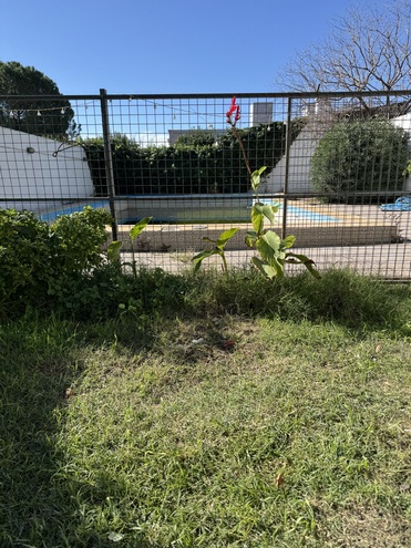 Inmobiliaria Tomás Acosta